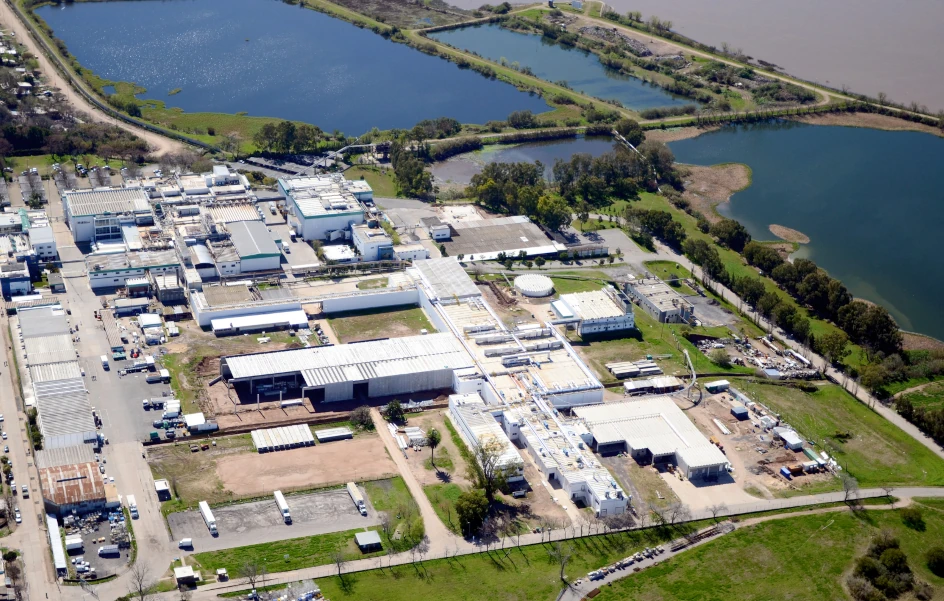 Plantas Industriales de Paladini
